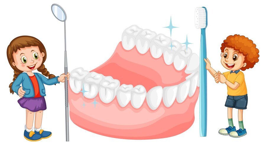 Types-Of-Teeth